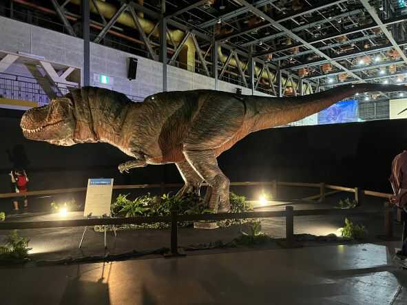 テクノホール_ティラノサウルス横